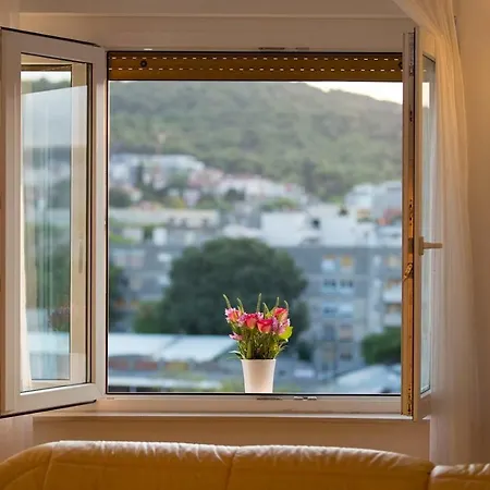 Spacious In City Center Apartament *