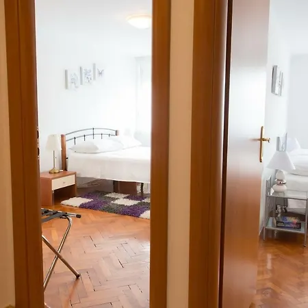 Spacious In City Center Apartament